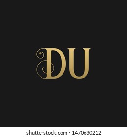 Unique modern stylish geometric pattern DU initial based letter icon logo