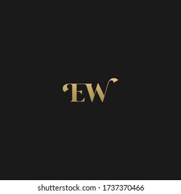 Unique modern trendy EW initial based letter icon logo   