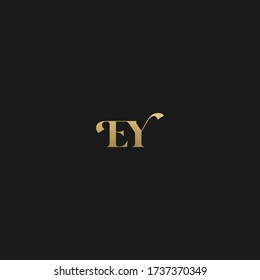 Unique modern trendy EY initial based letter icon logo   