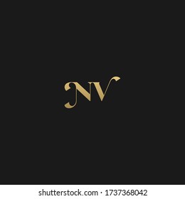 Unique modern trendy NV initial based letter icon logo   