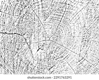 Unique, natural grunge texture of cut wood with cracks and concentric circles. Monochrome organic background of an old sawn tree. Perfect for vintage, rustic, and abstract designs
