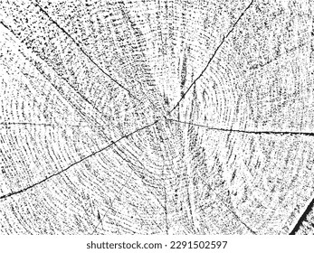 Unique, natural grunge texture featuring a cross-section of a tree with cracks and concentric circles. Monochrome, organic background ideal for vintage, rustic, and abstract designs