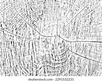 Unique, organic grunge texture of a tree cross-section with cracks and concentric circles. Great for vintage, rustic, and abstract designs