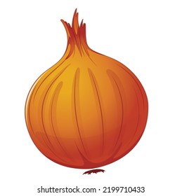 Unique orrange color onion illustration