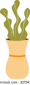 a unique plant that looks beautiful and very unique in a pot