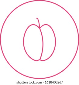 Unique Plum Vector Line Icon