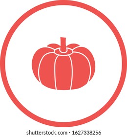 Unique Pumpkin Vector Glyph Icon
