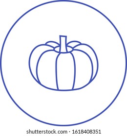 Unique Pumpkin Vector Line Icon