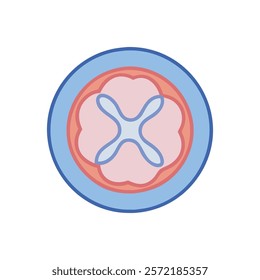 Unique Radius Bone Anatomy Vector Icon