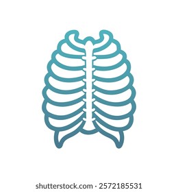 Unique Rib Cage Anatomy Illustration Graphic