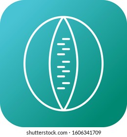 Unique Rockmelon Vector Line Icon