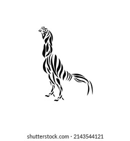 unique rooster tattoo designs, can be use on all media because madde with high rresolution
