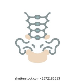 Unique Sacral Vertebrae Anatomy Vector Design