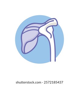 Unique Shoulder Joint Anatomy Vector Design