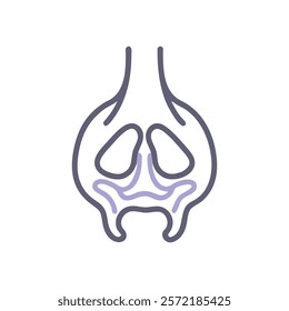 Unique Sinus Anatomy Vector Design with Details