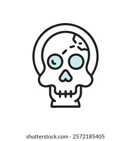 Unique Skull Anatomy Illustration Vector Design