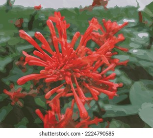 plantilla de acuarela de ilustraciones de vectores de flores rojas de especies únicas