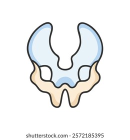 Unique Sphenoid Bone Anatomy Vector Design