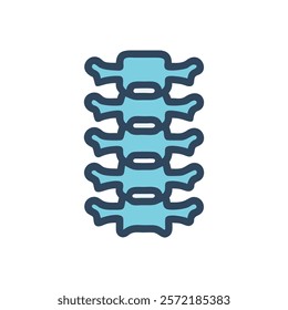 Unique Spine Anatomy Vector Design with Details