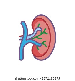 Unique Spleen Anatomy Vector Icon with Details