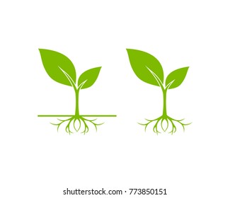 Unique Sprout Seed Grow Vector Illustration