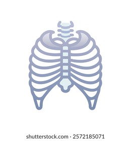 Unique Sternum Anatomy Vector Illustration Design