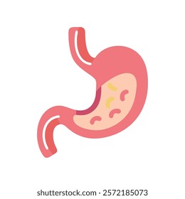 Unique Stomach Anatomy Vector Illustration Design