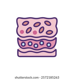 Unique Stratified Epithelial Tissue Anatomy Vector Design