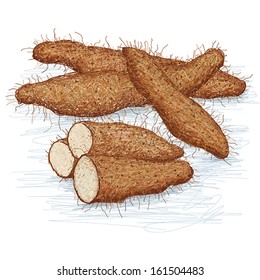 unique style illustration of exotic yam commonly known as nagaimo, chinese yam, chinese taro. scientific name Dioscorea opposita 