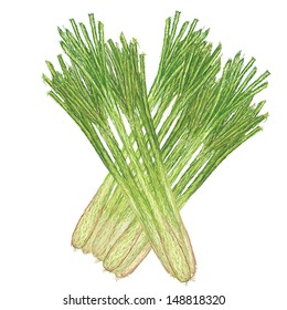 unique style illustration of lemon grass isolated in white background. 