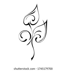 unique stylized twig with leaves and curls in black lines on a white background