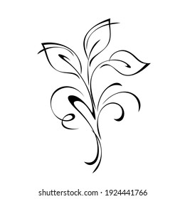 unique stylized twig with leaves and curls in black lines on a white background