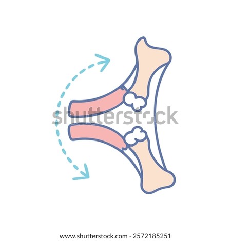 Unique Styloid Process Radius Anatomy Vector Illustration