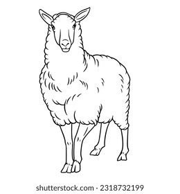 unique and suitable sheep vector for Eid al-Adha design material