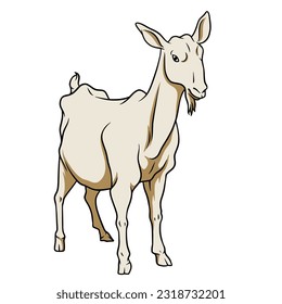 unique and suitable sheep vector for Eid al-Adha design material