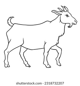 unique and suitable sheep vector for Eid al-Adha design material