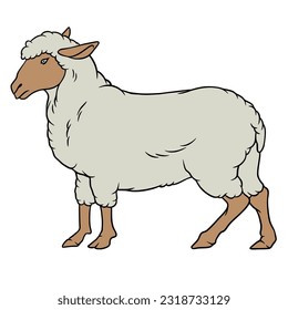 unique and suitable sheep vector for Eid al-Adha design material