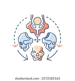 Unique Temporal Bones Anatomy Vector Design