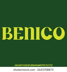 Unique thick rounded decorative display font vector