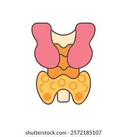 Unique Thyroid Anatomy Vector Illustration