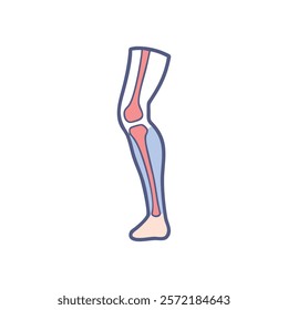 Unique Tibial Plateau Anatomy Vector Design