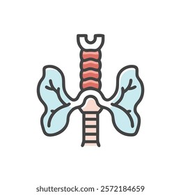 Unique Trachea Anatomy Vector Illustration