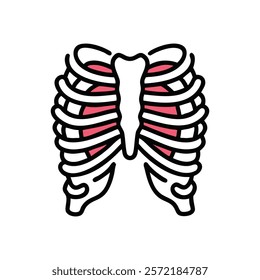 Unique True Ribs Anatomy Vector Illustration