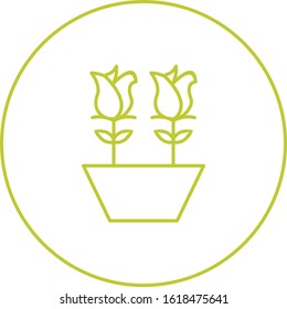 Unique Tulips In Pot Vector Line Icon