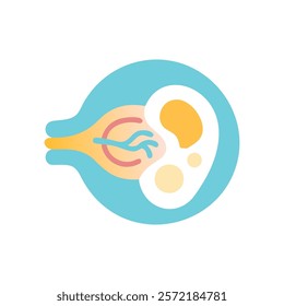 Unique Tympanic Membrane Anatomy Vector Design