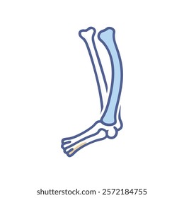 Unique Ulna Anatomy Vector Design