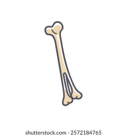 Unique Ulna Anatomy Vector Design