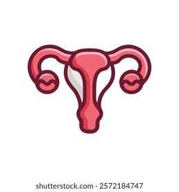 Unique Uterus Anatomy Vector Illustration