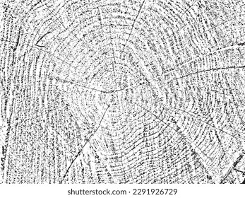 Unique vector grunge texture with cracks and circles, made from cut wood. Natural, monochrome organic background of old sawn tree. Perfect for vintage, rustic, abstract designs