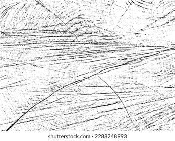 Unique Vector grunge texture of a willow cross-section on organic monochrome sawn log background with cracks. Ideal for texture overlays, stencils, and adding a raw, organic feel to designs